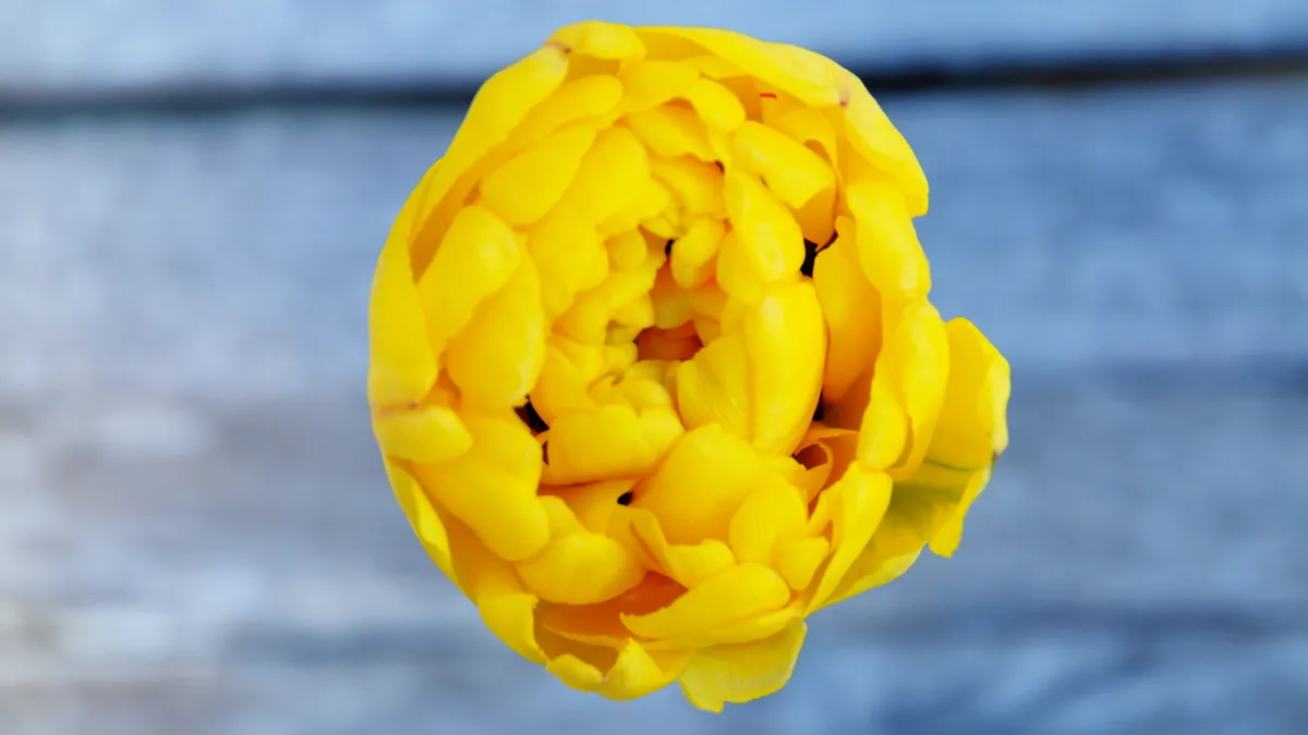 Featured image for "Highlights"